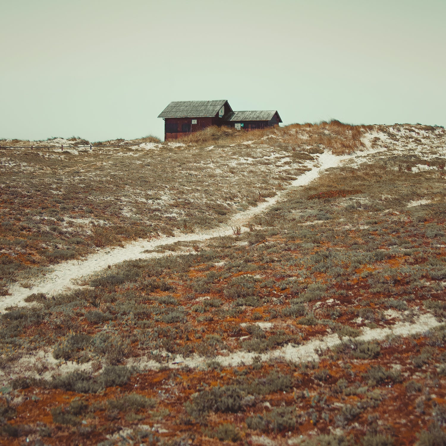 A shack atop a hill in a wilderness landscape, warm tones. 